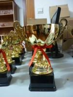 供應(yīng)上海金屬獎杯制作、周年活動紀念品、評選大會獎品、獎牌_禮品、工藝品、飾品_世界工廠網(wǎng)中國產(chǎn)品信息庫